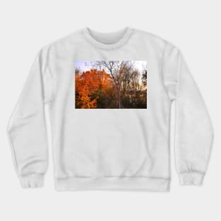 Late Autumn in Waverly Crewneck Sweatshirt